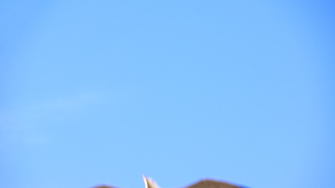 「AIを使いこなせない」を卒業！KMSのAI AgentがClaude 4.5実装で非エンジニアの業務を劇的に変える仕組み - Clear blue sky with distant brown and white shapes.